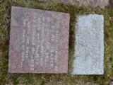 image of grave number 921139
